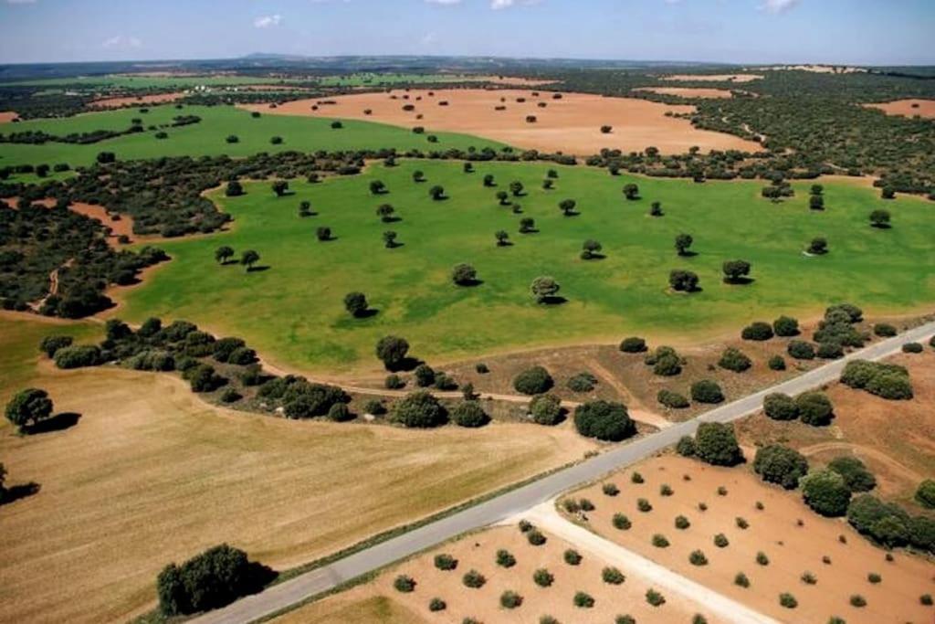 Villa Cerro Moreno Ossa de Montiel Dış mekan fotoğraf