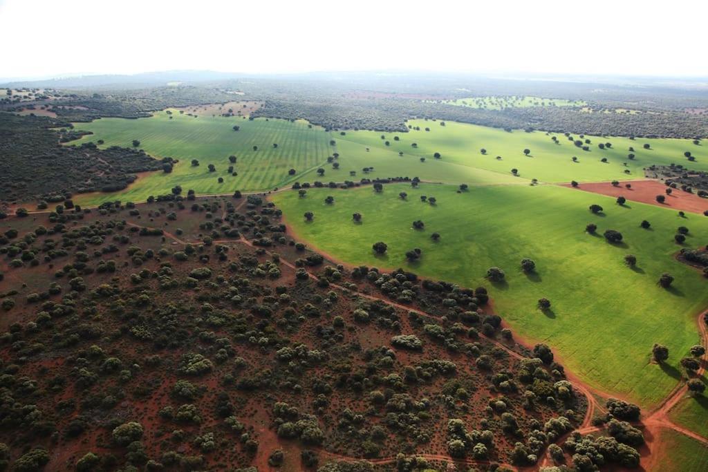 Villa Cerro Moreno Ossa de Montiel Dış mekan fotoğraf