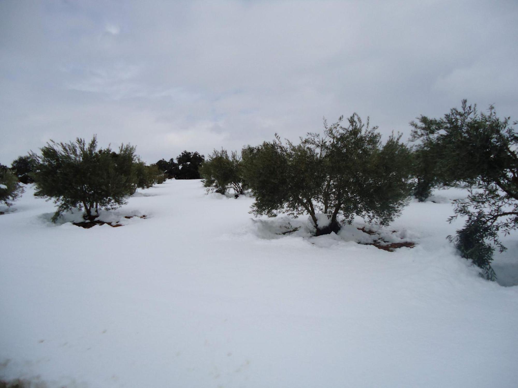 Villa Cerro Moreno Ossa de Montiel Dış mekan fotoğraf